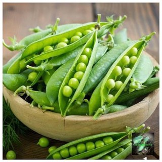 Hạt giống đậu Hà Lan cao sản F1