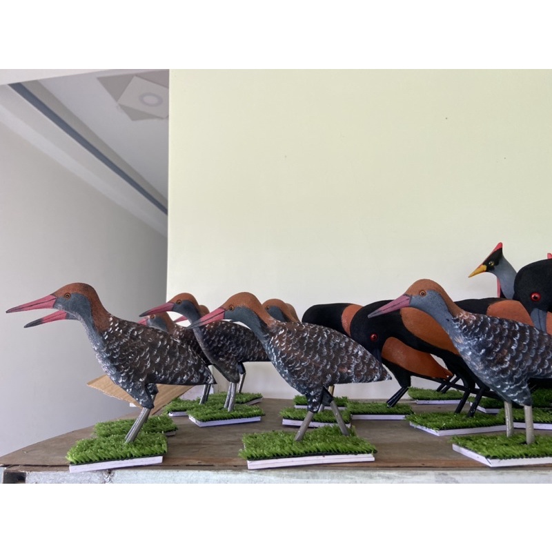 Chim chằng nghịch mồi giả .