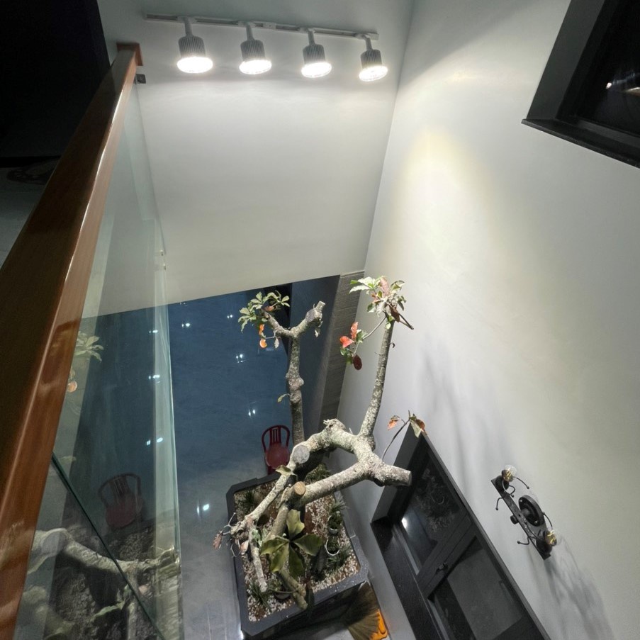 Đèn Quang Hợp Spotlight LGL 50W, Đèn Trồng Cây, Ánh Sáng Nắng Sơm Giúp Ra Ở Chồi Kiểng Lá & Ra Mầm Ở Cây Hoa, Sen Đá