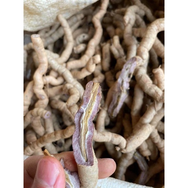 Ba kích tím Quảng Ninh  Hàng A1