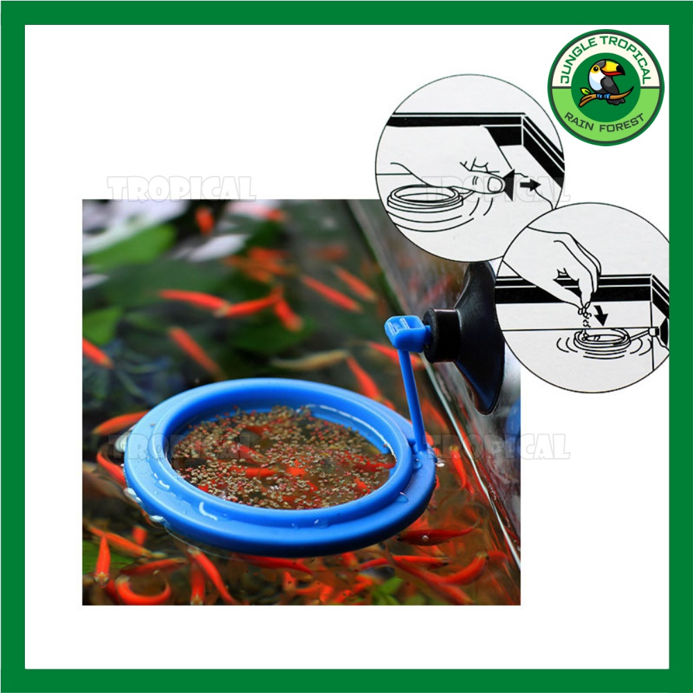 Vòng cho cá ăn - giữ thức ăn không bị phân tán - Loại mỏng/dày - hình tròn/vuông