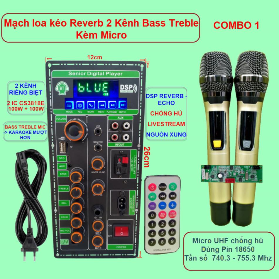 Mạch loa kéo 2 kênh OTG Livestream Chống hú DSP Reverb – Echo 2 IC CS3818E 100W + 100W – Loa kéo 3 tấc đôi Kèm Micro