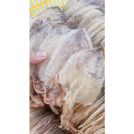 10 CON LỠ BỰ ĐẸP MỚI MGON CÀ MAU