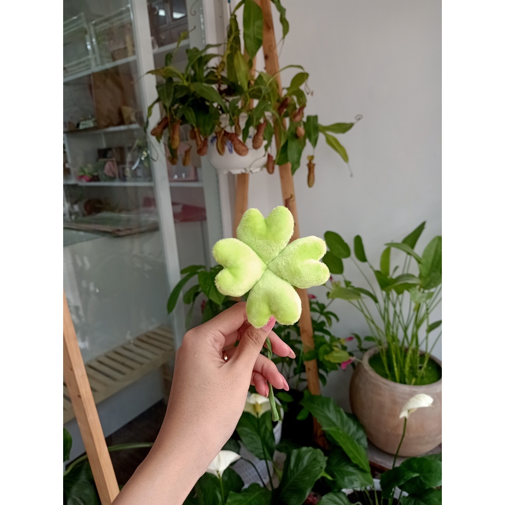 Cỏ 4 lá dễ thương, thân 20cm - gấu bông đình may