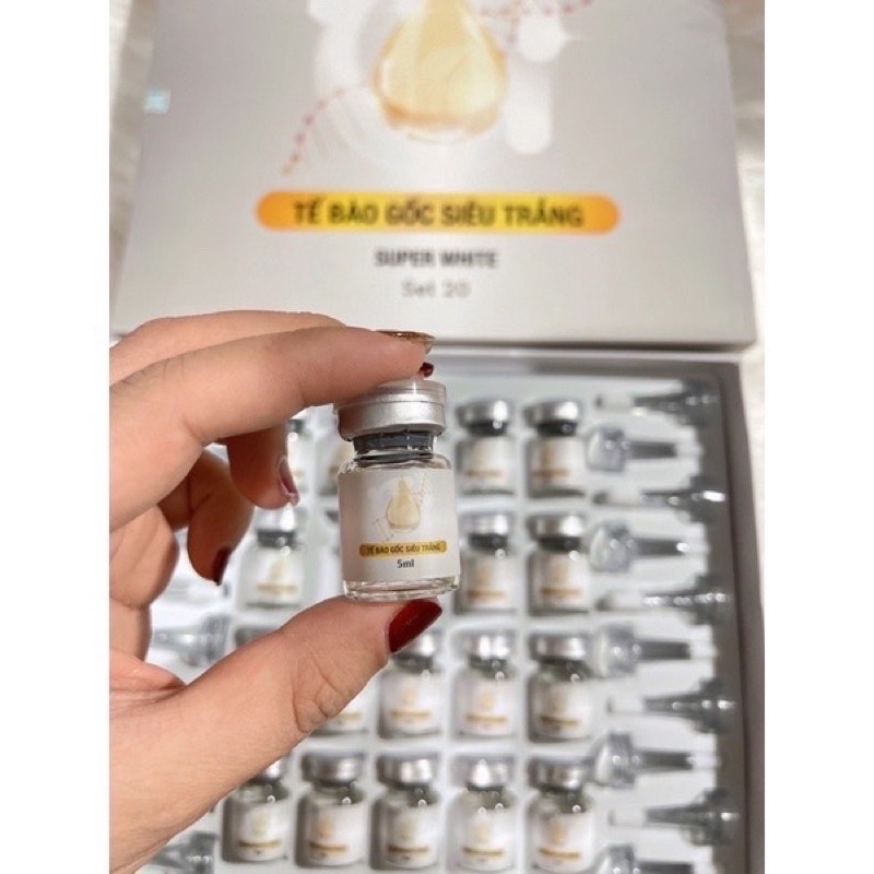 Tế bào gốc Siêu Trắng dùng trong Spa