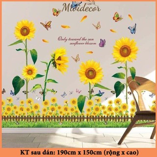 Decal dán tường hoa hướng dương Mividecor trang trí phòng ngủ hoa cây xanh