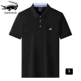Áo polo nam 10 màu