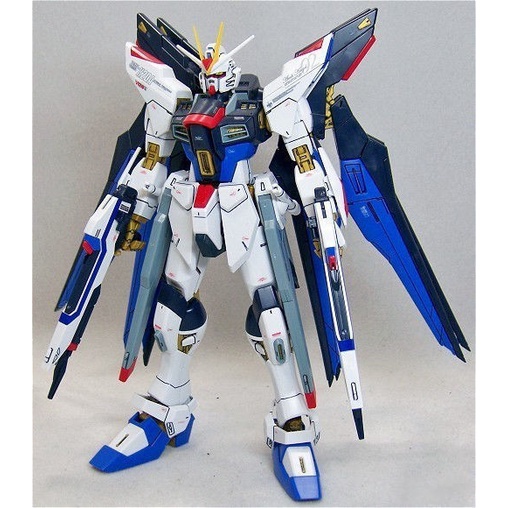 Mô hình đồ chơi Lắp Ráp Gundam - Phiên bản TV 6100 Freedom Strike