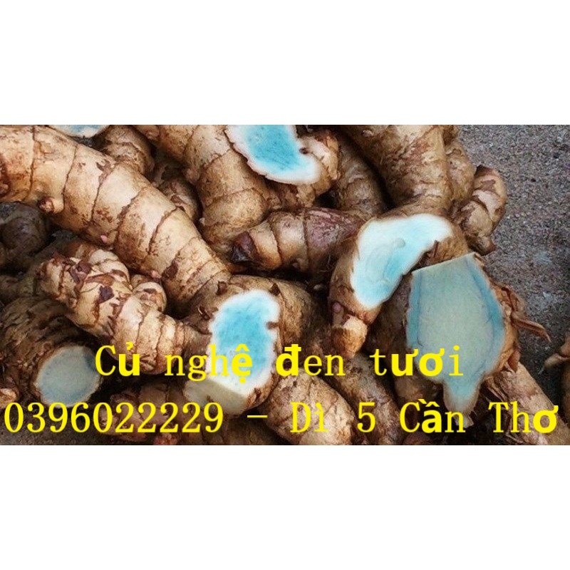 Nghệ đen tươi 1 ký