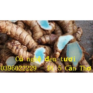 Nghệ đen tươi 1 ký