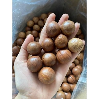500gram macca lâm đồng , thơm , bùi và béo