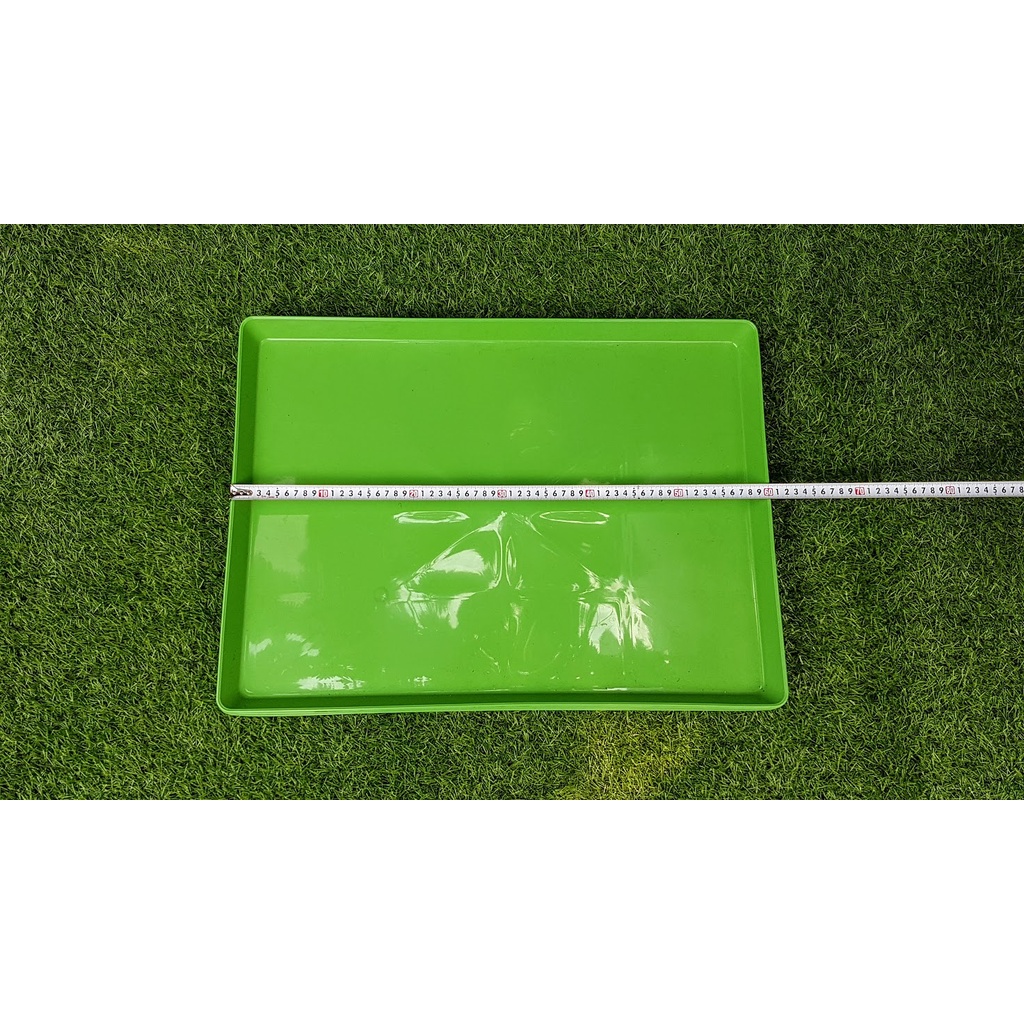 Combo 10 khay xanh 45-60-3cm đựng nước trồng lan ươm giống Và lót chuồng thú cưng