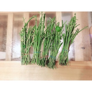 Rau Bồ ngót Nhật