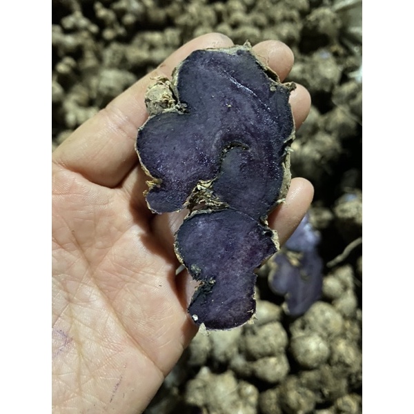 gừng đen tươi ( ngải đen) 1 kg