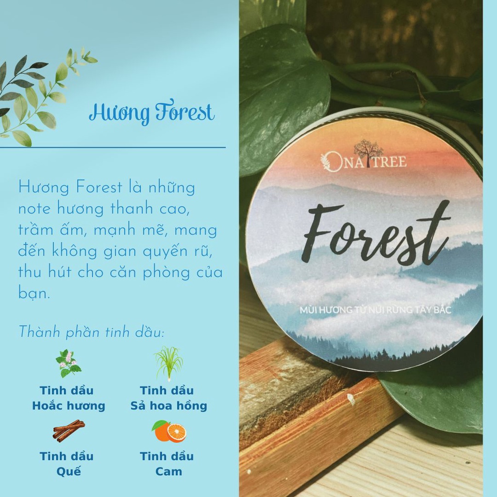 Nến Thơm Forest Wild Herbs Hương Rừng Tươi Mát Tinh Dầu Thiên Nhiên Organic _ ONATREE