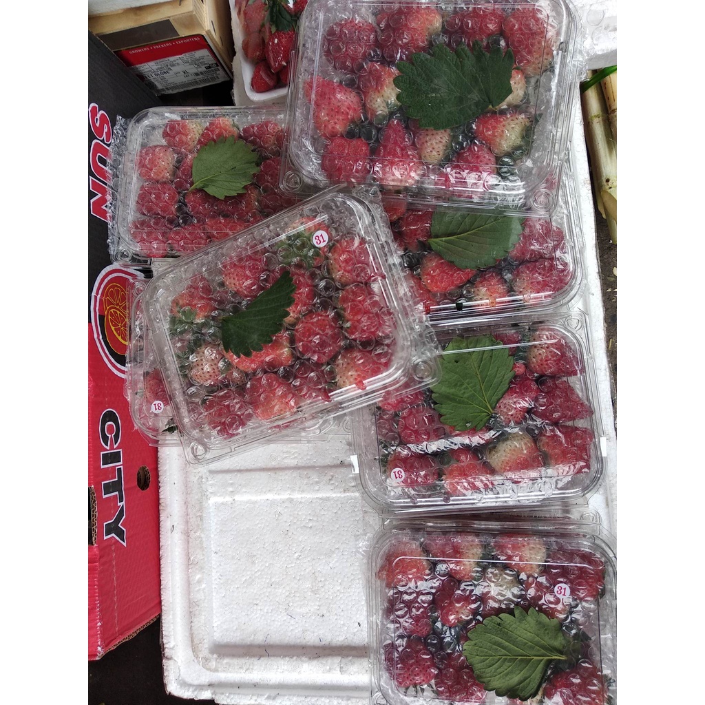 Dâu tây Việt Nam mới về tươi ngon Siêu Thơm Ngon