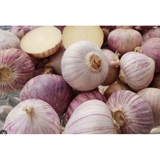 Combo 1kg Tỏi Cô Đơn Phan Rang Làm Tỏi Đen