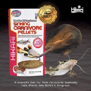 Thức ăn hikari tropical sinking carnivore pellets - thức ăn chuyên dụng cho cá tầng đáy - pleco - cá săn mồi