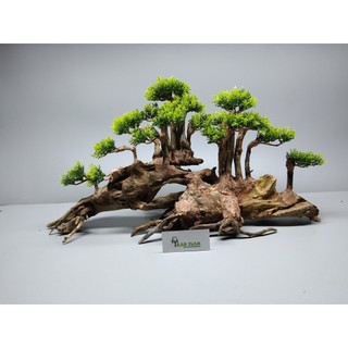 Cây gỗ lũa bonsai kiểu đồi cây