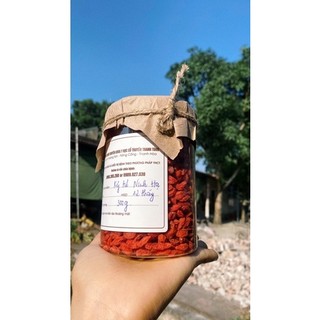 KỶ TỬ KHÔ ( CÂU KỶ TỬ ) kỷ tử mình hạ