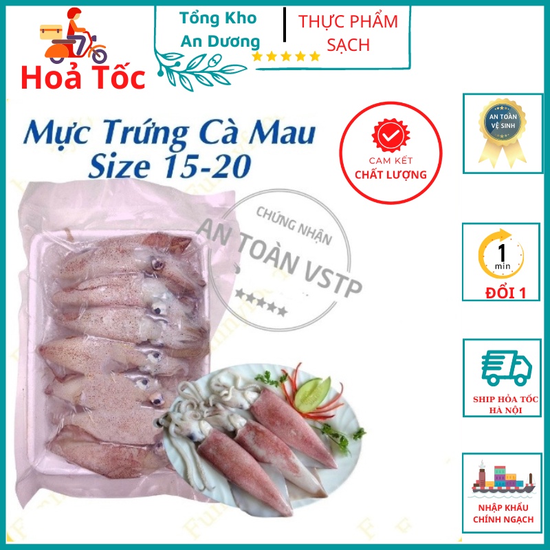 Mực Trứng Tươi Loại Lớn 15-20 con/kg – Mực Ống Trứng Cà Mau SHIP HOẢ TỐC HN