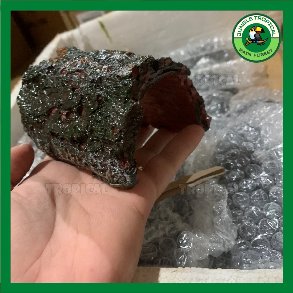 Hang trú ẩn hình gốc cây - Trang trí hồ cá tép cảnh, bể thủy sinh, hang bò sát