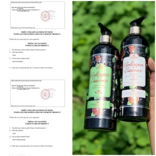 Cặp dầu gội xả yody collagen essence 800ml