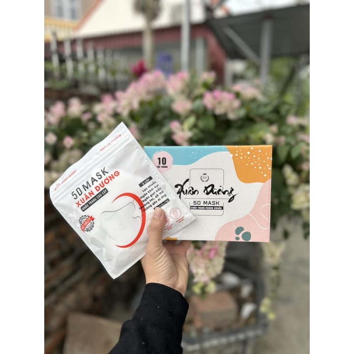 Combo 100c Khẩu Trang 5D  Xuân Dương