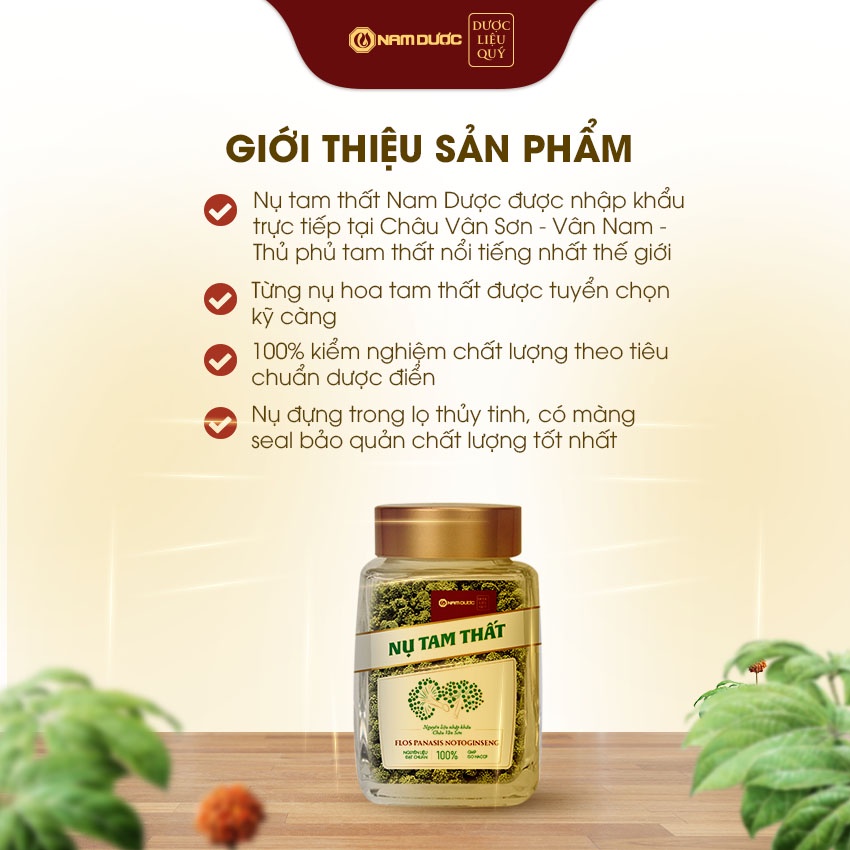 Nụ hoa tam thất Nam Dược, hộp 60g, nhập khẩu đạt chuẩn, giúp bổ máu, ngủ ngon, thanh nhiệt, ổn định huyết áp, tim mạch