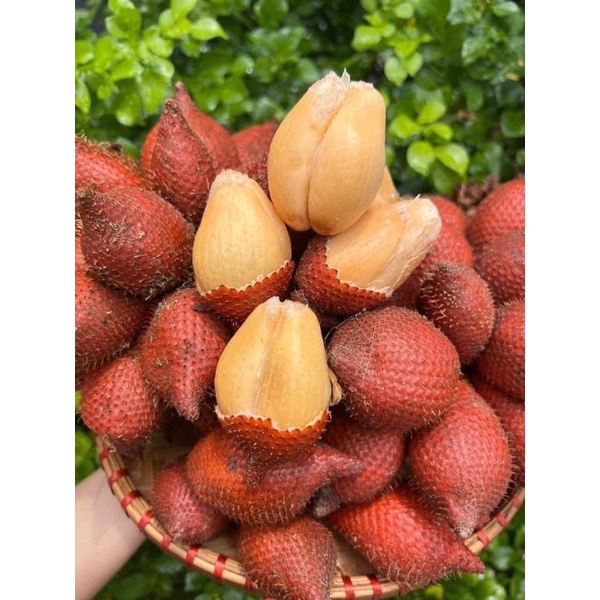 Mây thái đường