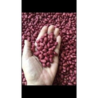 LẠC ĐỎ TÂY BẮC