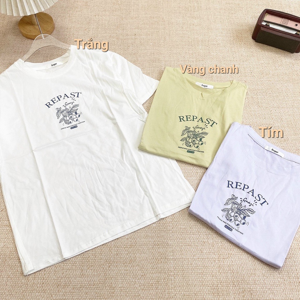 Áo thun nữ Sugar in chữ REPAST cộc tay cổ tròn phong cách Hàn Quốc hàng Quảng Châu L1 bảng màu pastel chất cotton lạnh