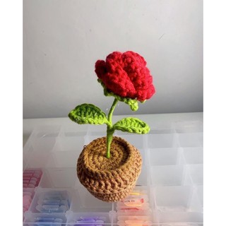 chậu hoa hồng len