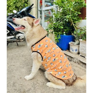 ÁO THUN GIÁ RẺ CHO CHÓ LỚN