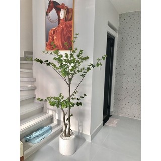 Cây giả , cây thạch nam 1,6m