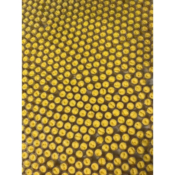 KÍCH TRẮNG MẠNH X6