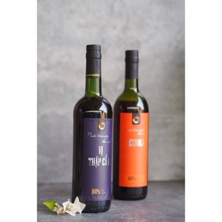 Nước trái cây lên men - hỗ trợ tốt cho tiêu hóa - chống oxy hóa đỉnh cao