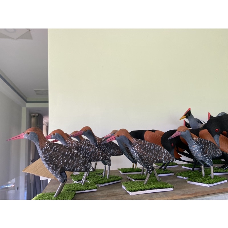 Chim chằng nghịch mồi giả .