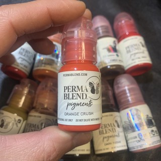 Mực Phun Xăm PermaBlend , Mực Xăm Chính Hãng 15ml /Dcpx Thảo My