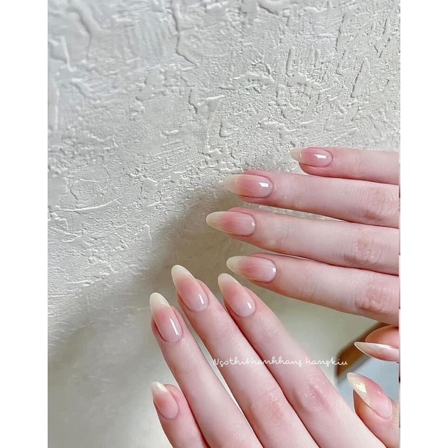 Bột nén màu ombre nail siêu hot khay 25 màu