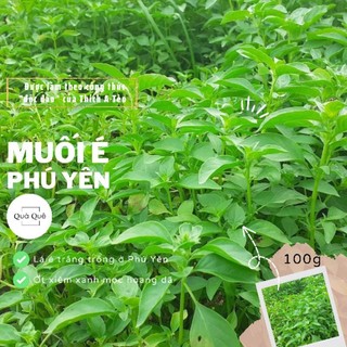 MUỐI LÁ É TRẮNG PHÚ YÊN (100g/1hộp)