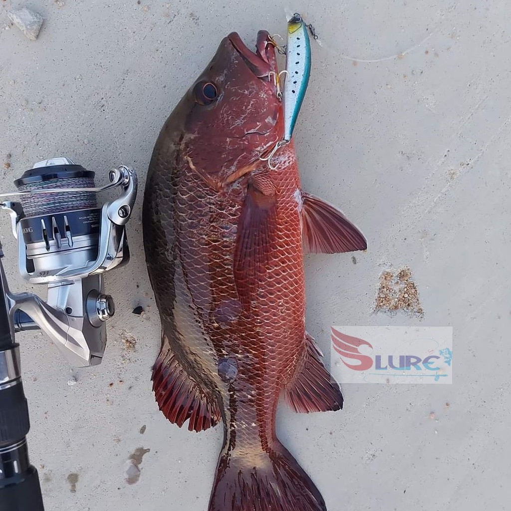 Mồi giả câu cá, lure DW51 13.5cm/17.5g