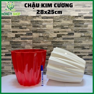 Chậu 28-25cm Chậu nhựa sọc kim cương Thakico dùng trồng hoa, cây cảnh – chậu màu trắng kích thước đa dạng