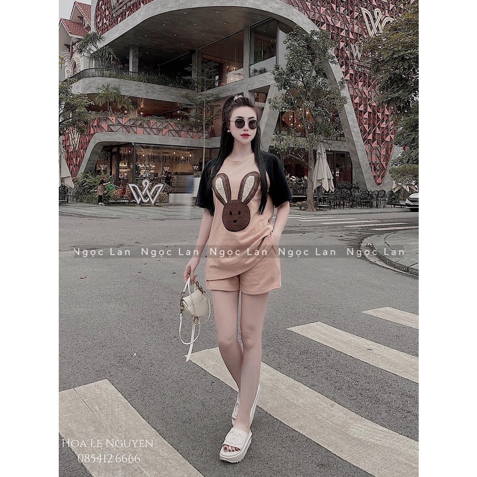 Set Đùi Thể Thao Thêu Thỏ Nổi Cộc Tay Nam Nữ 3158 Chất Cotton Khô Unisex Basic