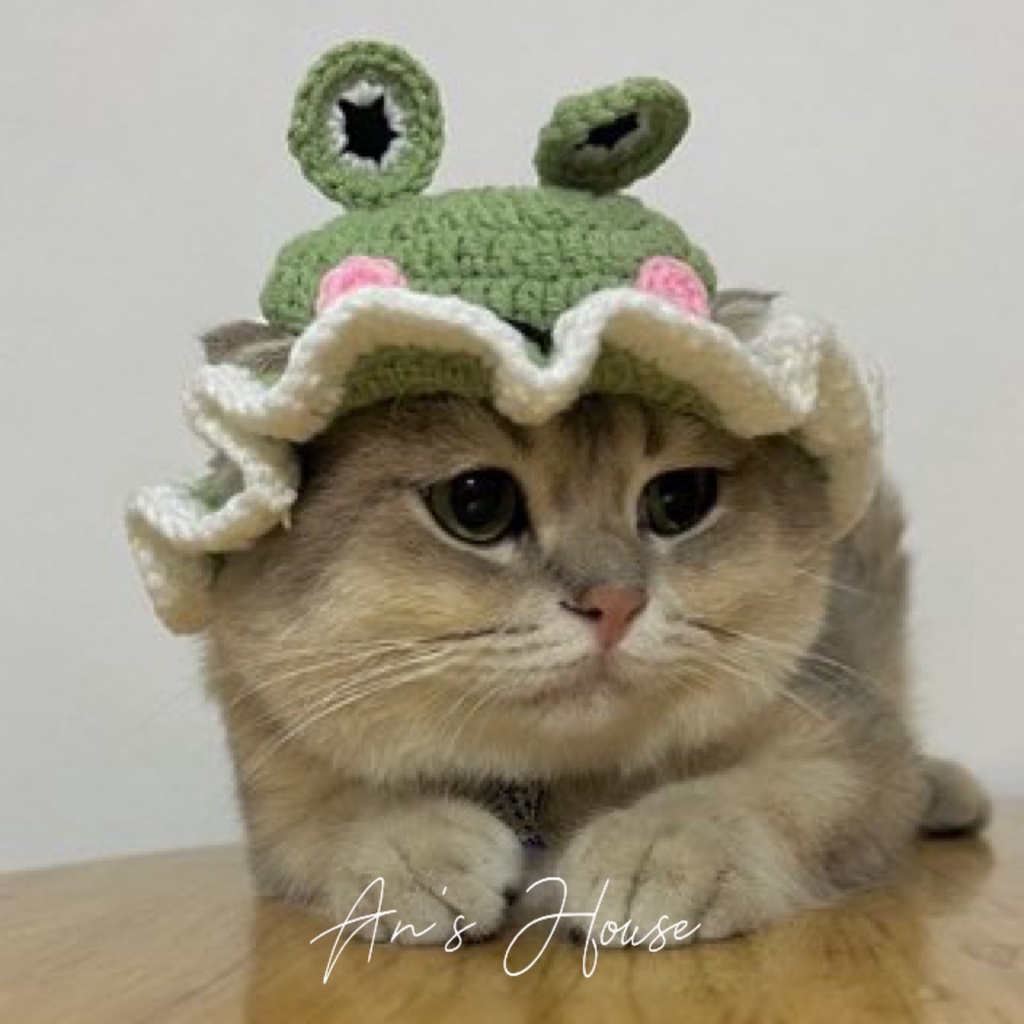 Mũ ếch thú cưng handmade dáng mới