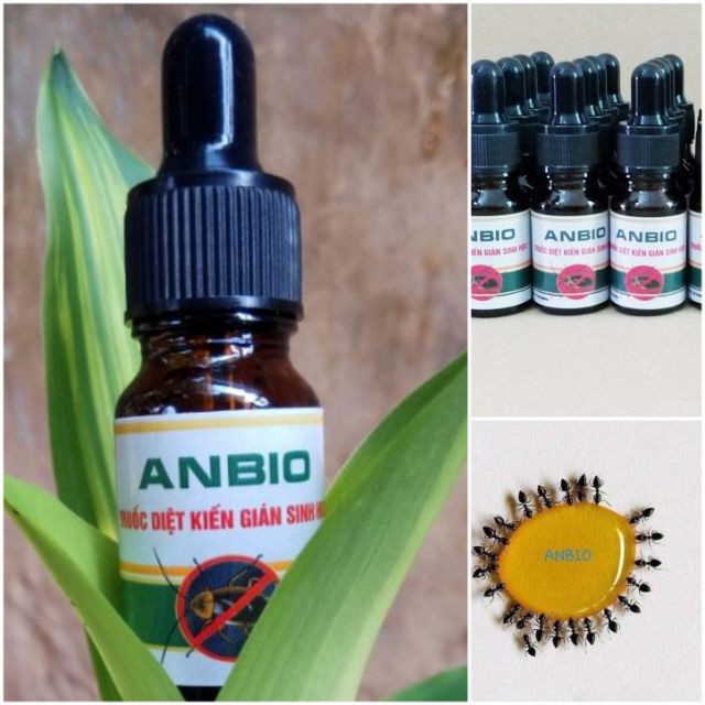 Thuốc diệt kiến gián sinh học Anbio 10ml hiệu quả cao - dễ sử dụng