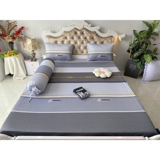 ga gối thun lạnh 5D cao cấp mẫu sọc( 5 màu)