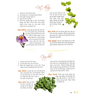 Sách - 365 Loài Hoa Cảnh