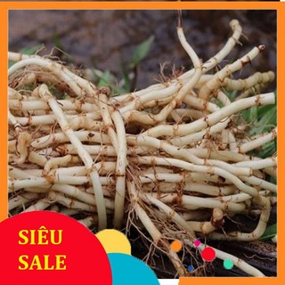 Rễ Cỏ Tranh tươi 1kg