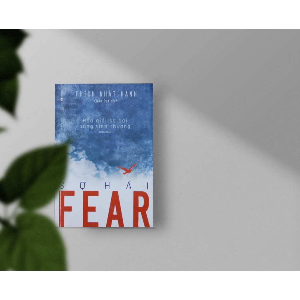 Sách - Fear Sợ Hãi : Hóa Giải Sợ Hãi Bằng Tình Thương
